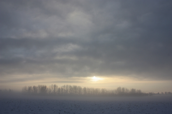 Nature horizon snow winter Photo