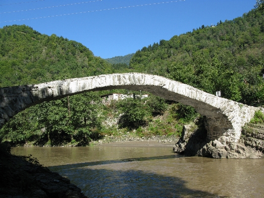 Landscape nature bridge river Photo