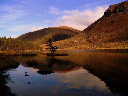 Landscape tree water nature Photo