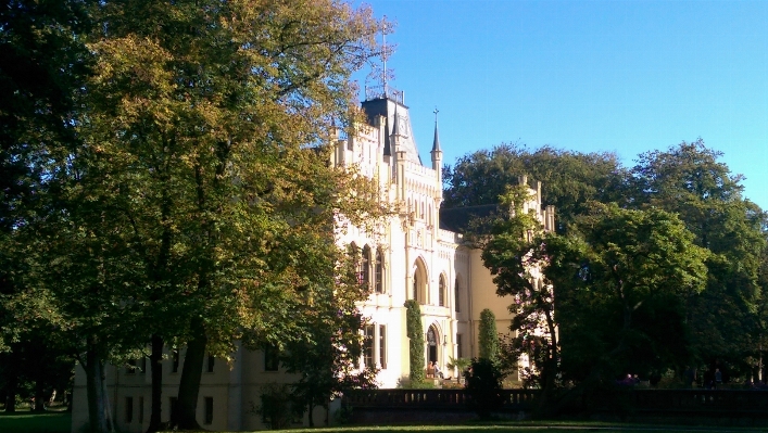 Foto árbol mansión
 edificio castillo
