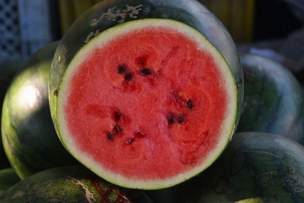 Foto Naturaleza planta fruta dulce