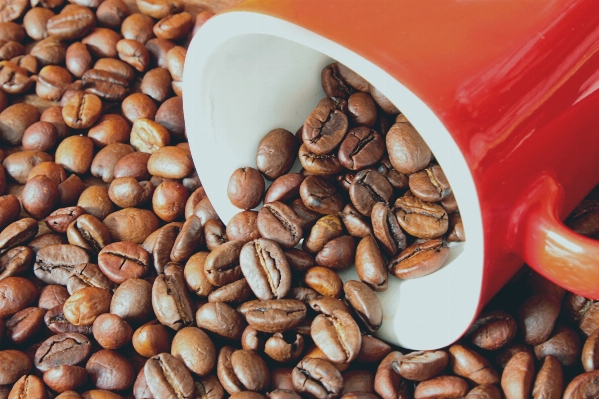 コーヒー コーヒー豆
 カップ 食べ物 写真