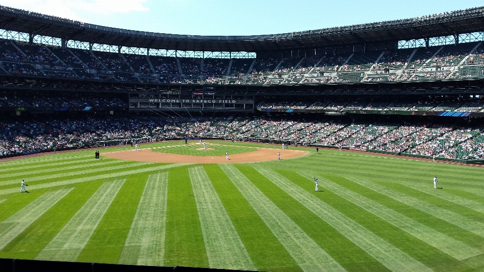 Structure stade terrain de baseball
 washington