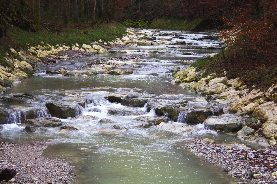 Woda las zatoczka
 pustynia
