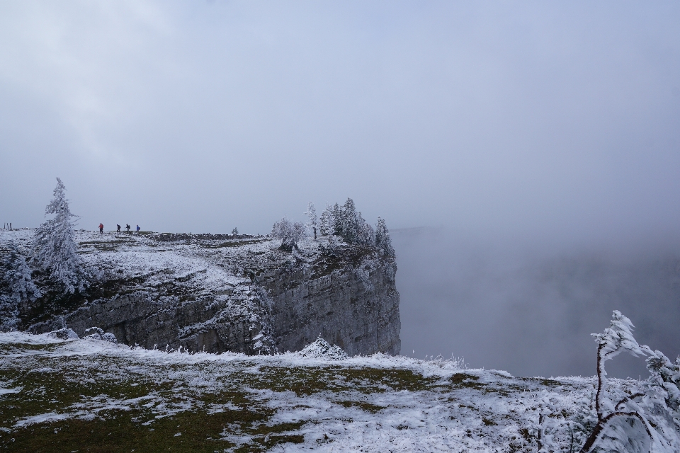 пейзаж дерево природа пустыня
