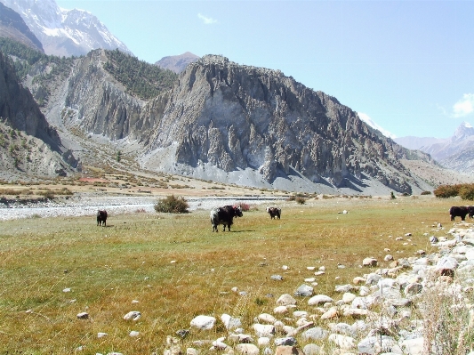 Landscape wilderness mountain adventure Photo