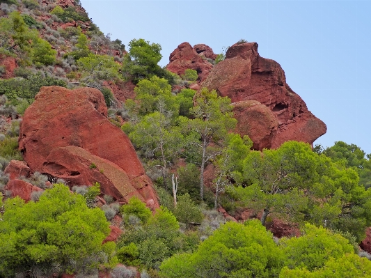 Landscape tree rock wilderness Photo