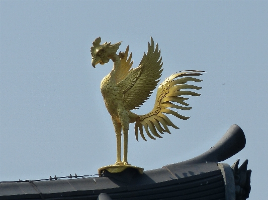 Bird wing monument statue Photo