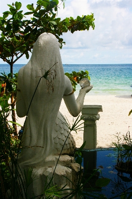 Beach landscape sea coast Photo