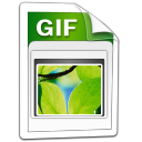 Gif Icon