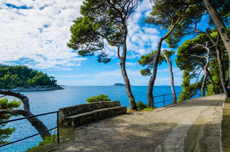 Beach landscape sea coast