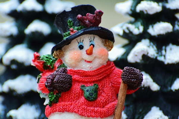 Snow winter flower decoration Photo