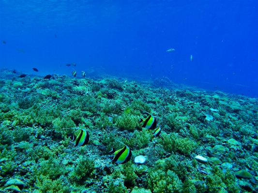 海 水 海洋 湖 写真