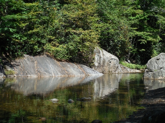 Landscape water nature forest Photo