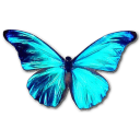 Butterfly Icon