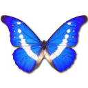 Butterfly Icon