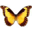 Schmetterling