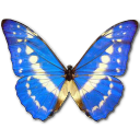 Butterfly Icon