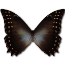 Butterfly Icon