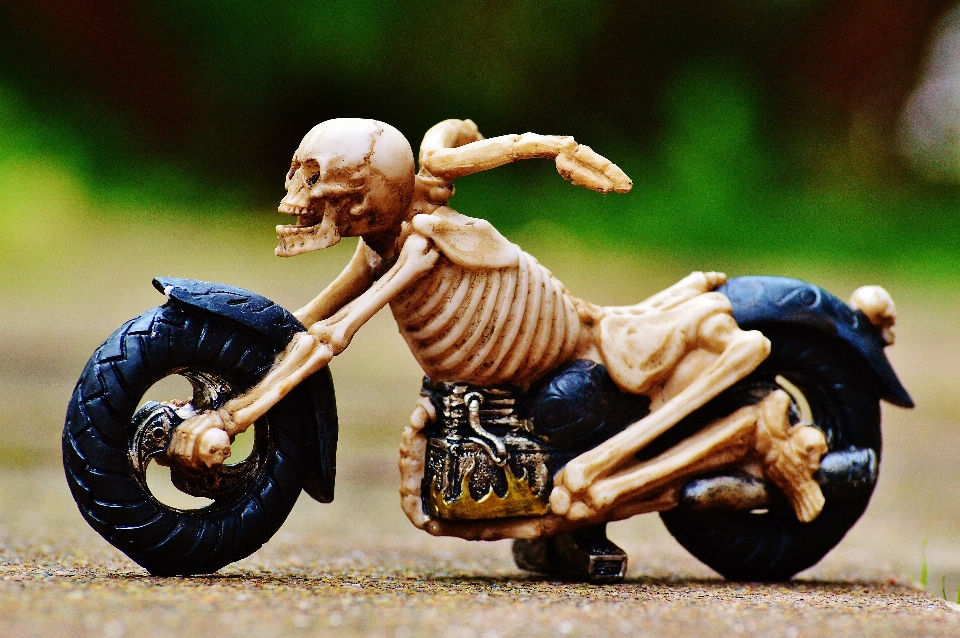 Decorazione motociclo halloween cranio