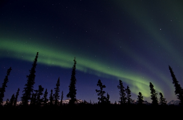 Sky night atmosphere green Photo