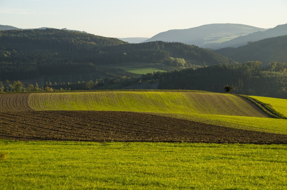 Landscape nature grass horizon