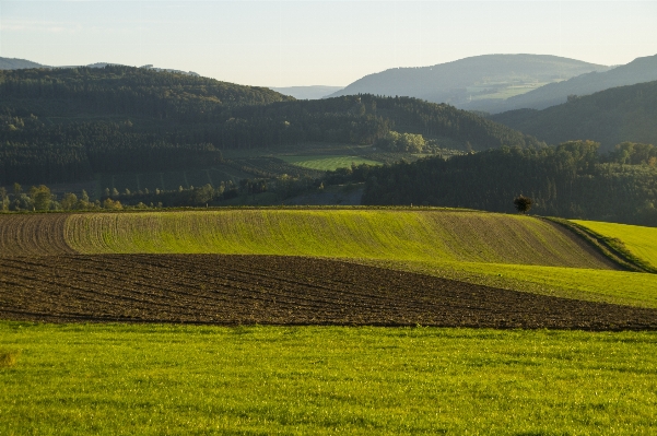 Foto Paisaje naturaleza césped horizonte