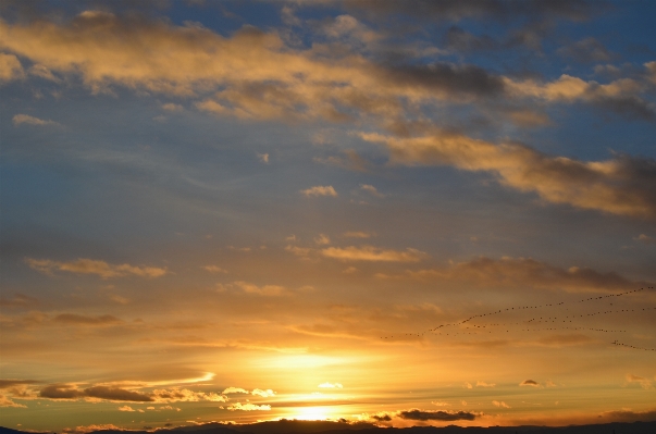 Landscape sea nature horizon Photo