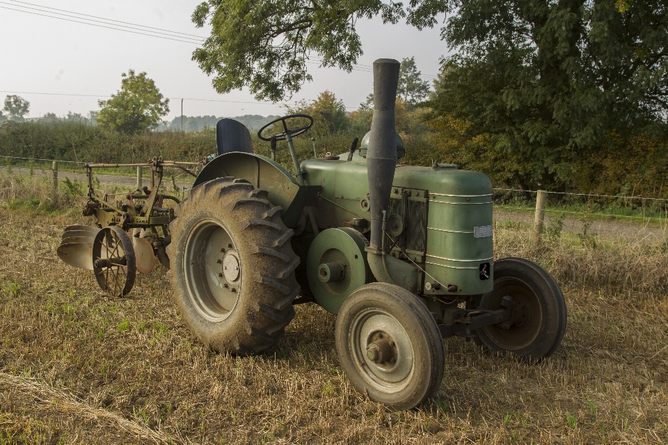 Planta heno tractor campo