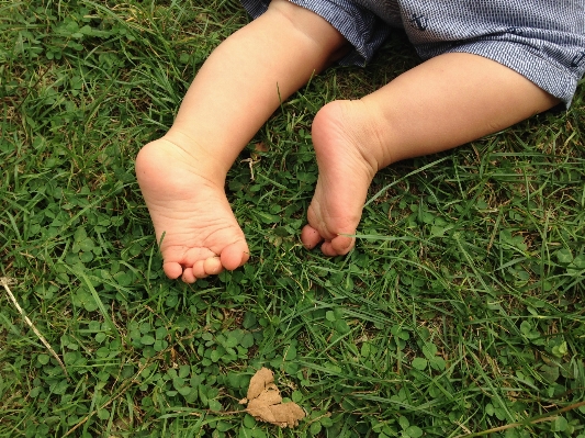 Hand nature grass lawn Photo