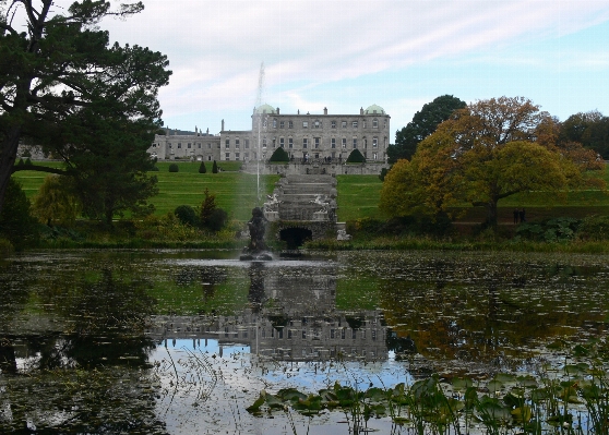 Tree water lake building Photo