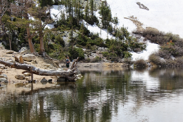 Landscape tree water nature Photo