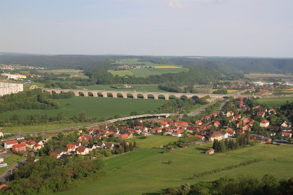 Landscape forest structure bridge Photo