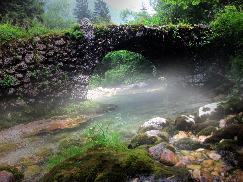 水 森 滝 霧