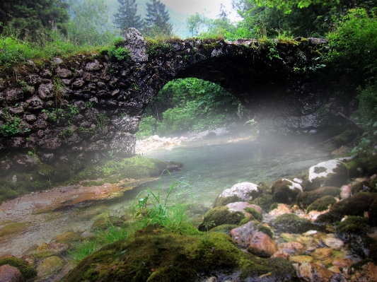 Water forest waterfall fog Photo