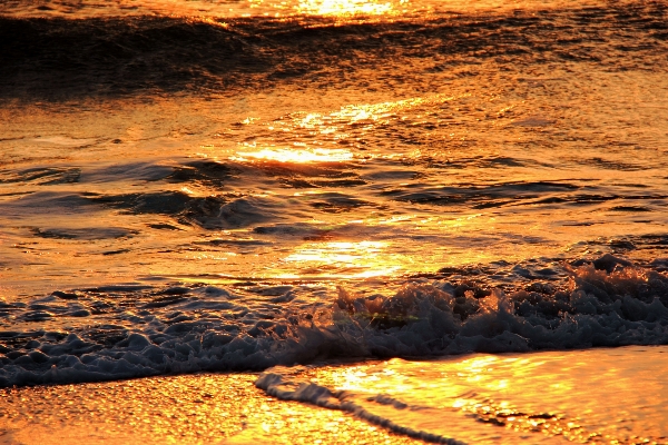 Beach sea coast water Photo