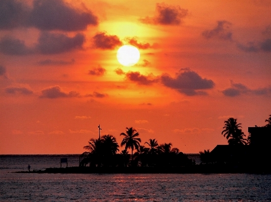 Beach sea coast ocean Photo