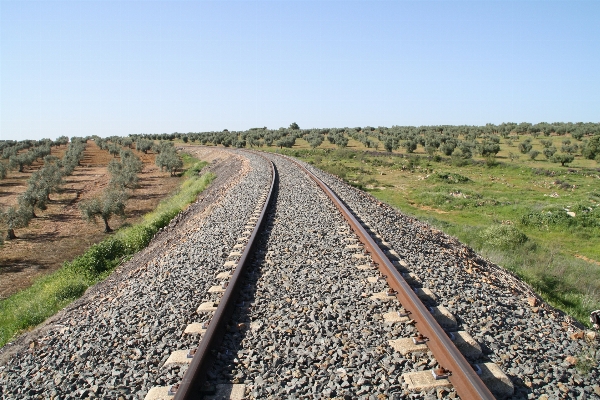 Track field train transport Photo