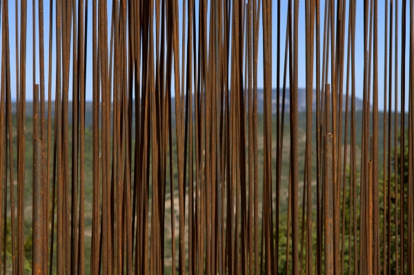 Landscape nature outdoor branch Photo