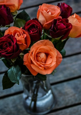 Nature blossom plant bunch Photo