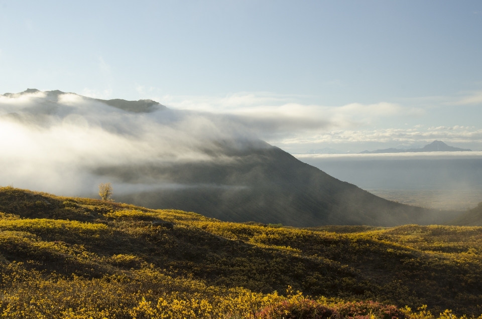 Krajobraz drzewo natura horyzont