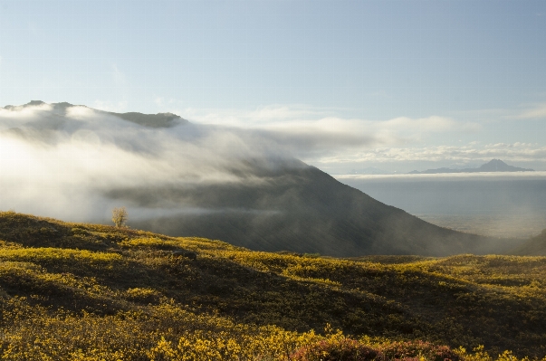 Landscape tree nature horizon Photo