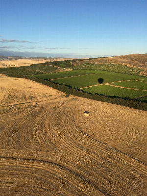 Landscape nature grass horizon Photo