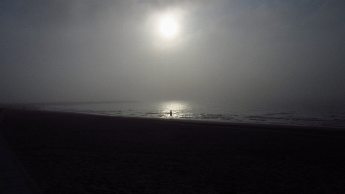 Beach sea coast ocean Photo