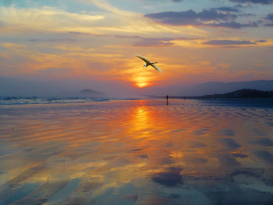 Plage paysage mer côte