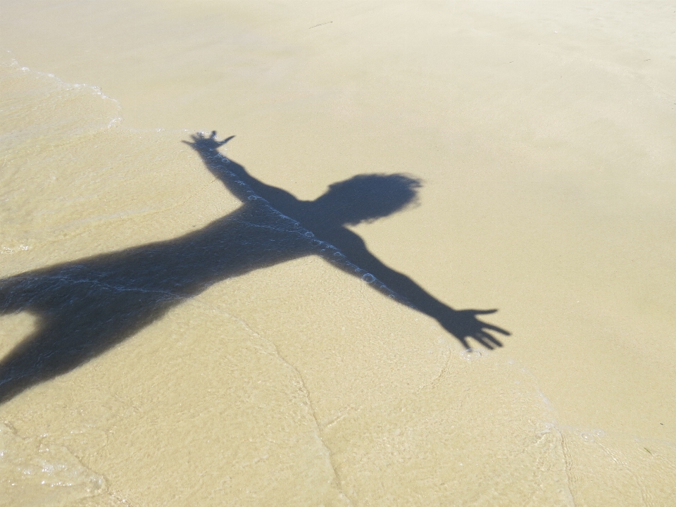 Mano playa agua naturaleza