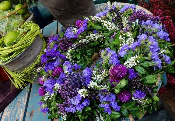 Table plant flower purple Photo