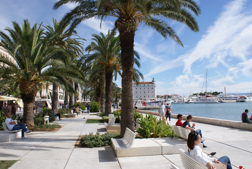 Plage mer eau personnes