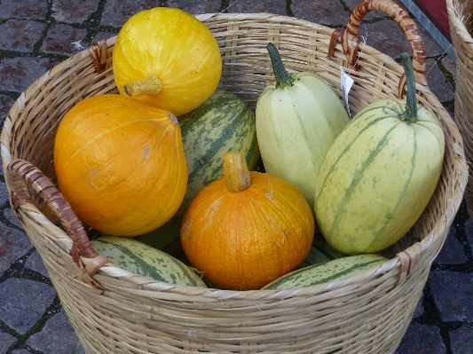 Foto Pianta frutta cibo produrre