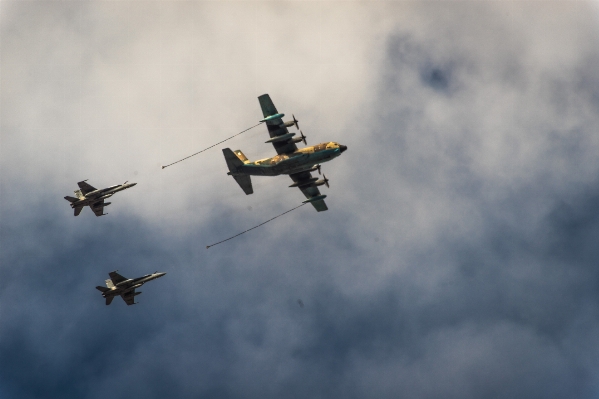 Wing sky wind flying Photo